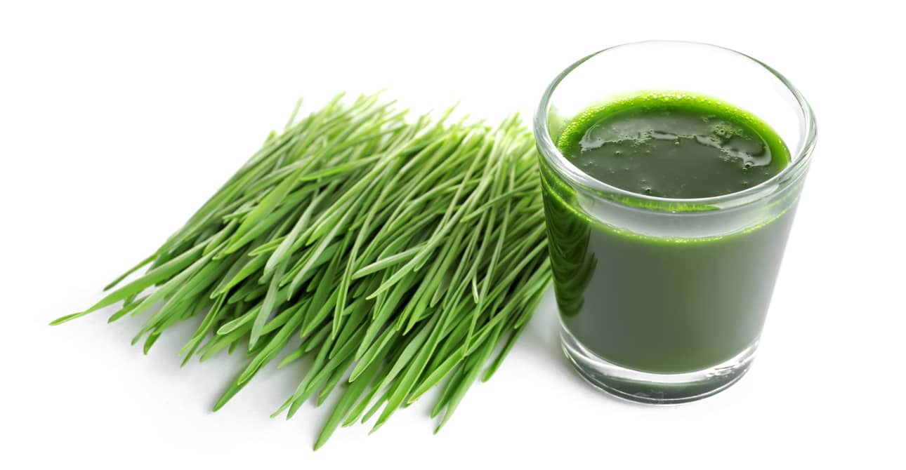 Trị đau răng bằng lúa mỳ