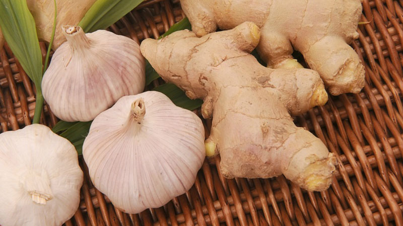 Cách giảm đau răng sâu nhanh bằng gừng và tỏi